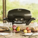 Gassgrill Napoleon Pro Travel Q (PRO285-BK) thumbnail