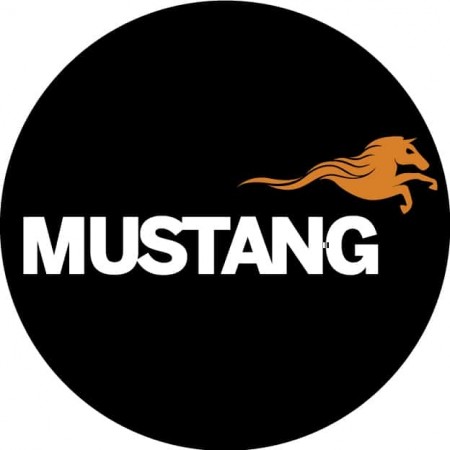 Mustang Gassgriller