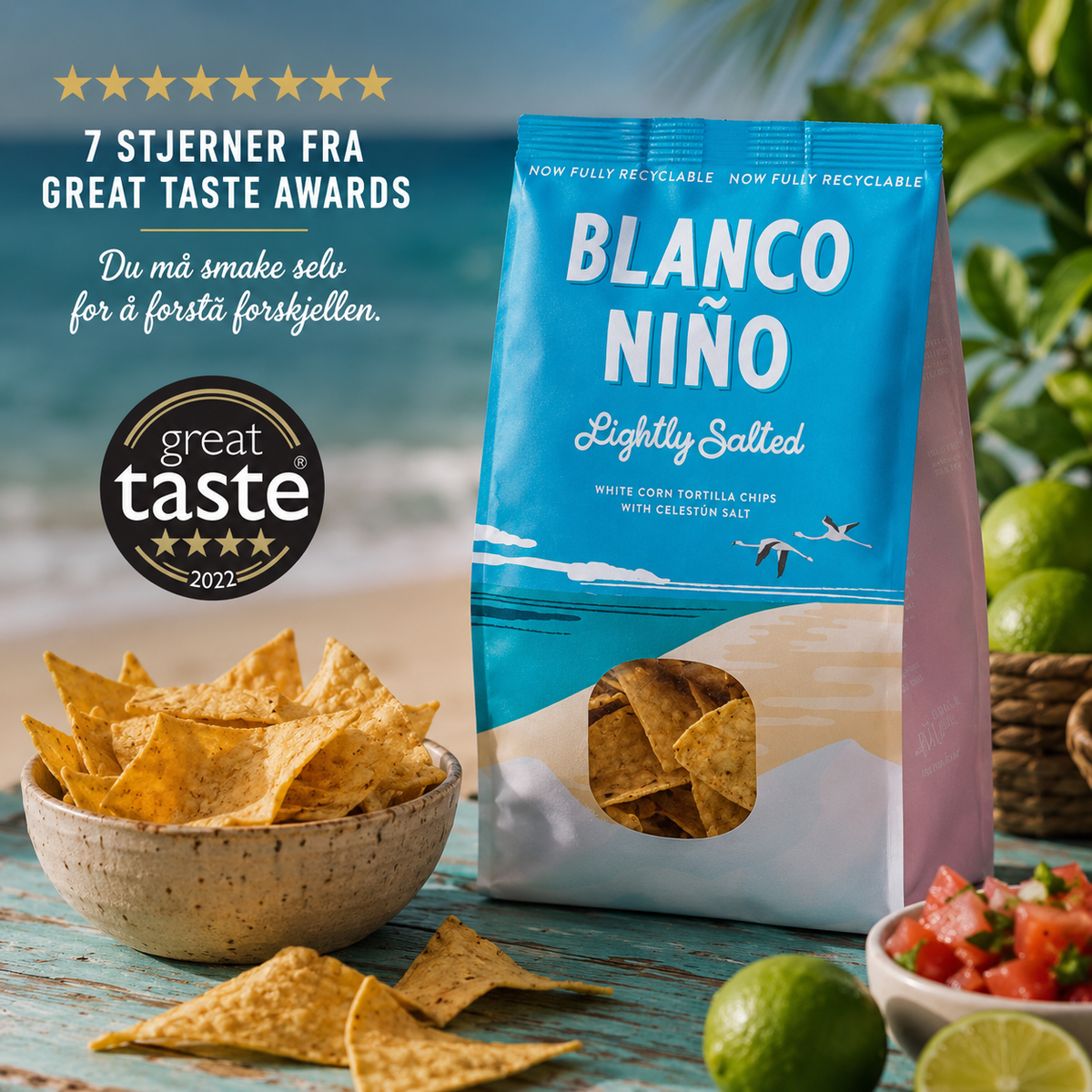 Blanco Niño Salted Tortilla Chips 170 g